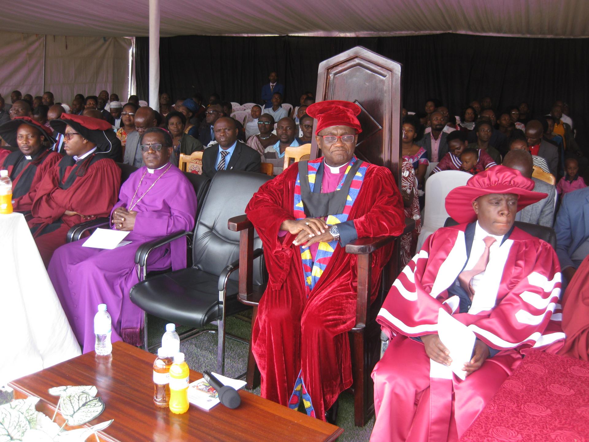 Img 41